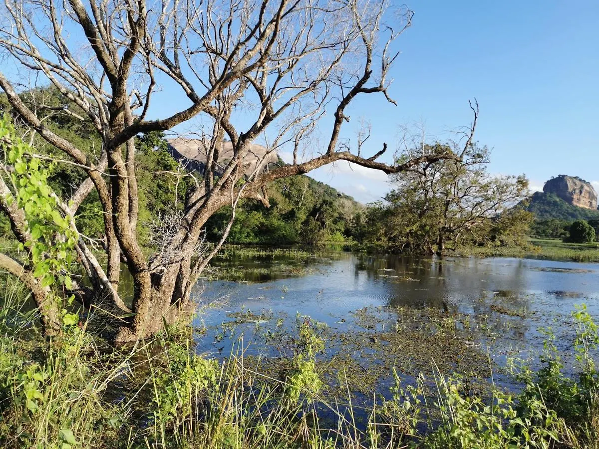 Sigiriya Nature Resort Frühstückspension